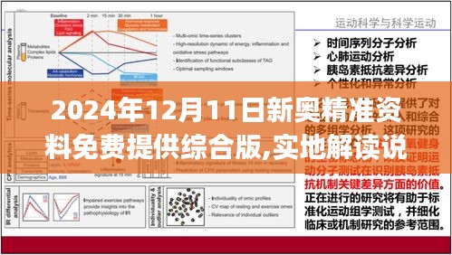 2024新奥资料免费精准051-精选解释解析落实