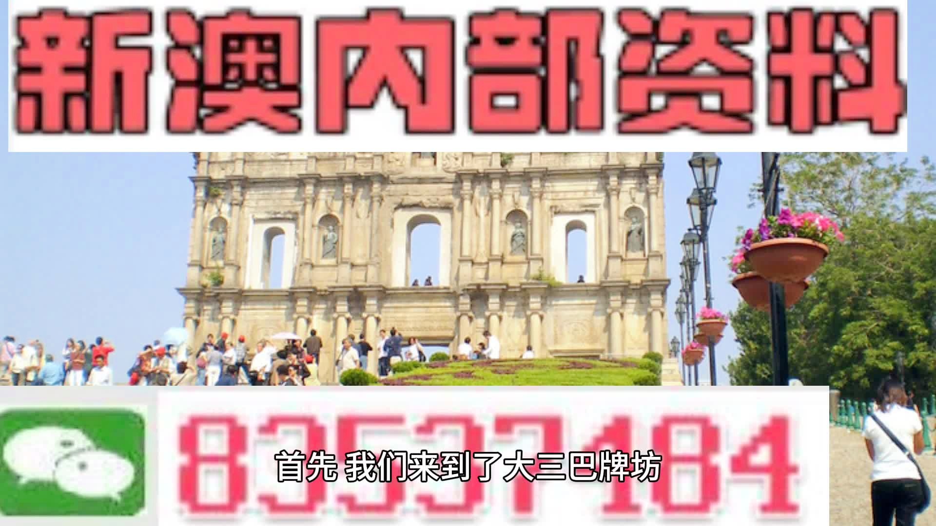 2025新澳门天天开好彩-精选解释解析落实